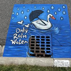 Hope Flynn (Coastline Dr) - Only Rain Water